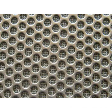 Low-Carbon Galvanized Stainless Steel Punching Net